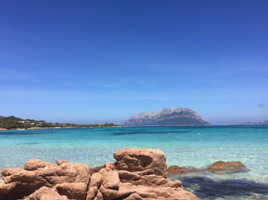 Amazing House 10 Min By Car From The Beach Olbia Exterior foto
